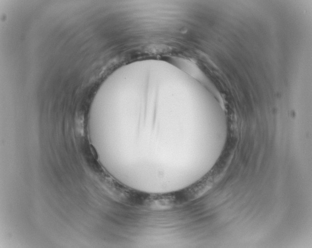 X0000069830368200606161946