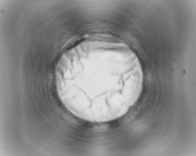 X0000069830369200606161946