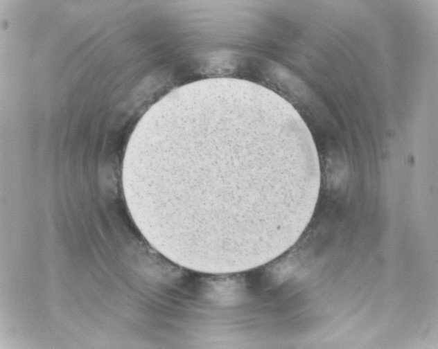 X0000069830370200606161946