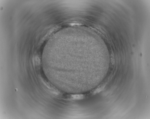 X0000069830371200606161946