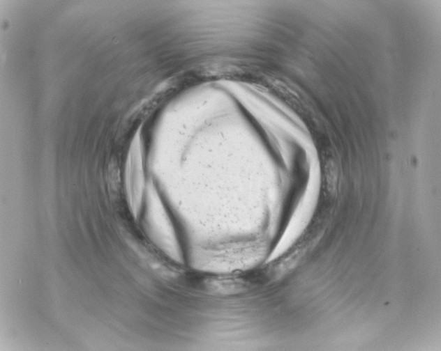 X0000069830372200606161946