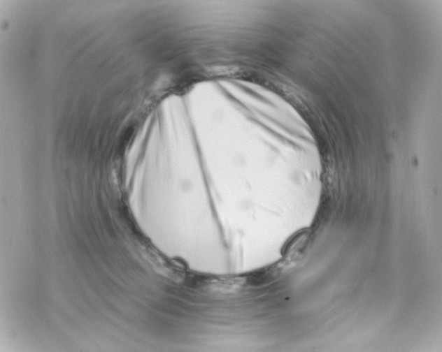 X0000069830373200606161946