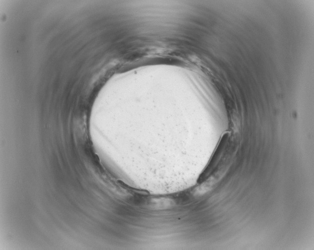 X0000069830376200606161946