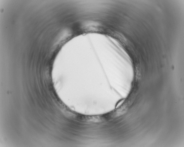 X0000069830377200606161946