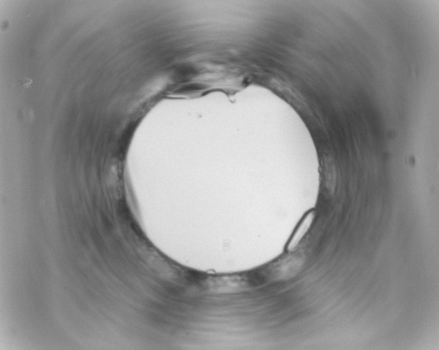 X0000069830378200606161946