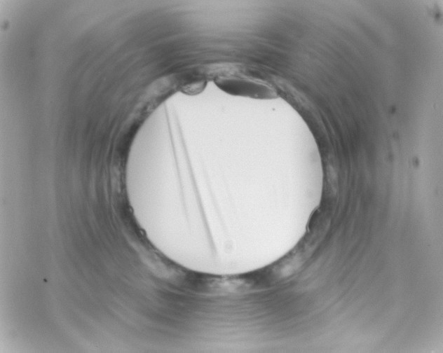 X0000069830379200606161946