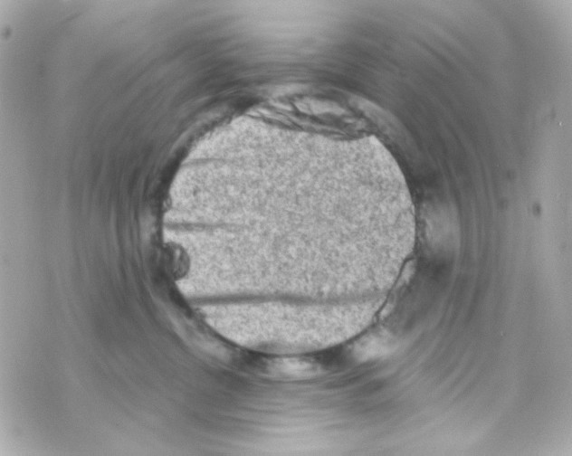 X0000069830380200606161946