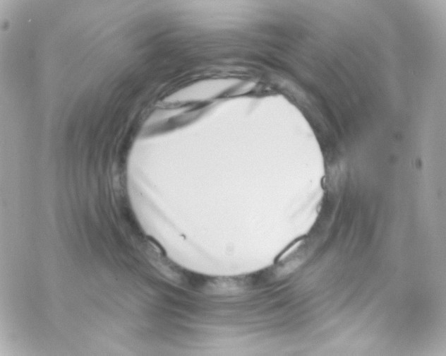 X0000069830381200606161946