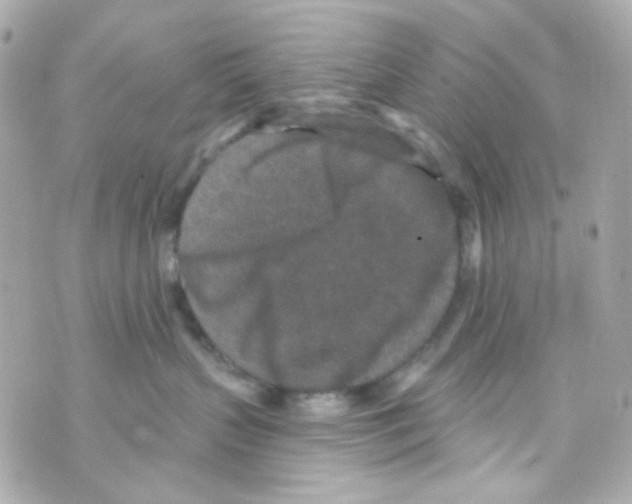 X0000069830383200606161946