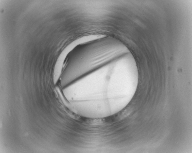 X0000069830384200606161946