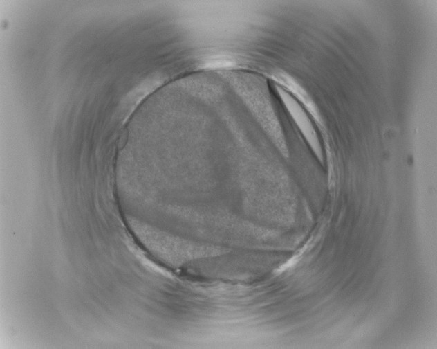 X0000069830385200606161946