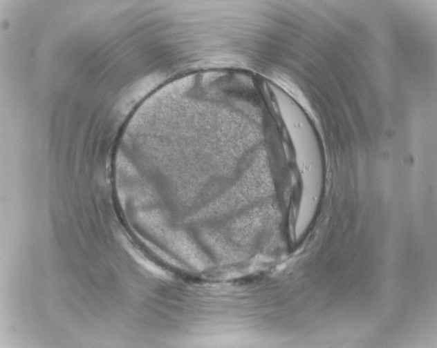 X0000069830389200606161946