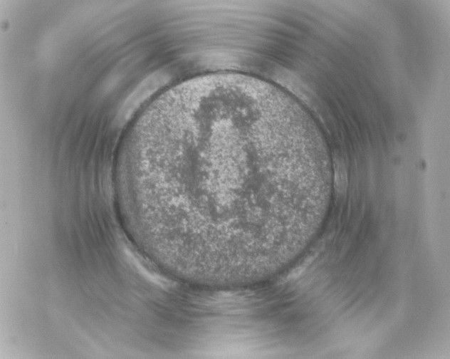 X0000069830390200606161946