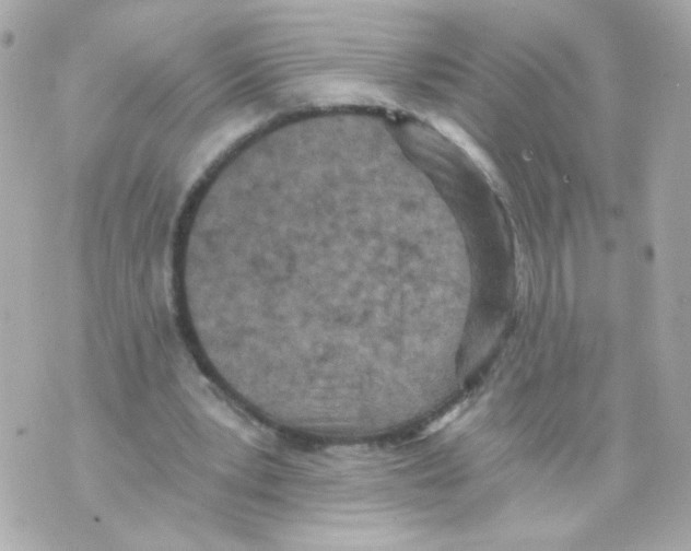 X0000069830391200606161946