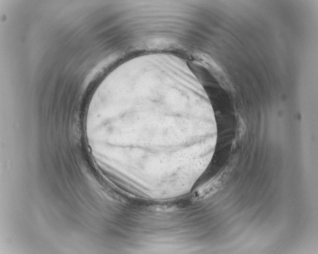 X0000069830392200606161946