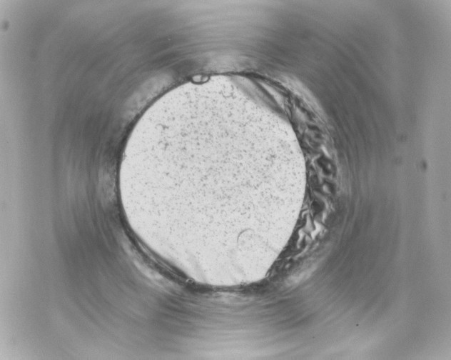 X0000069830393200606161946