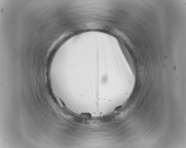 X0000069830395200606161945