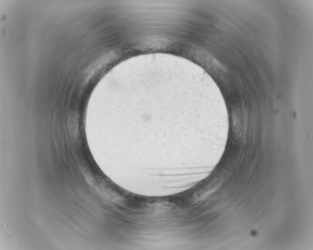 X0000069830396200606161945