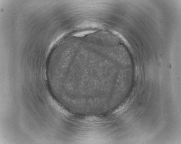 X0000069830399200606161945