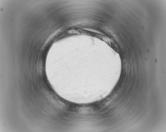 X0000069830400200606161945