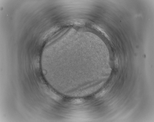 X0000069830402200606161945