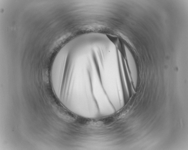 X0000069830403200606161945