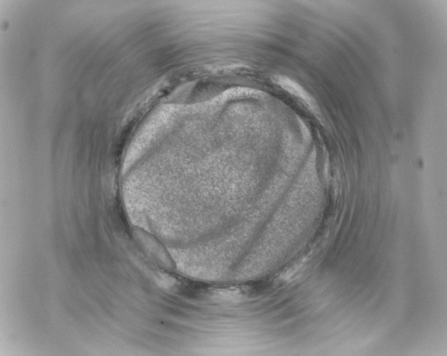 X0000069830405200606161945