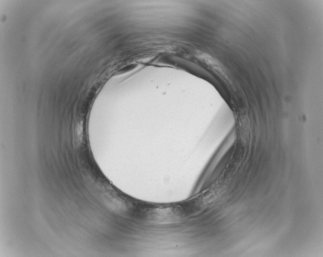 X0000069830406200606161945