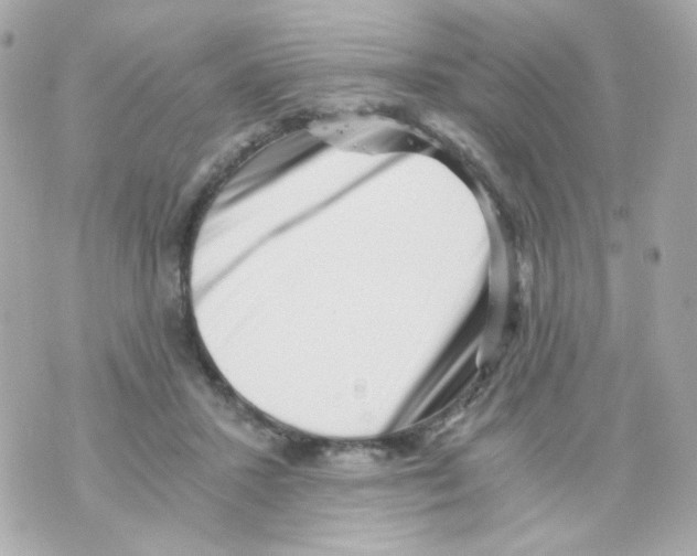 X0000069830407200606161945