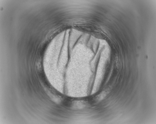 X0000069830408200606161945