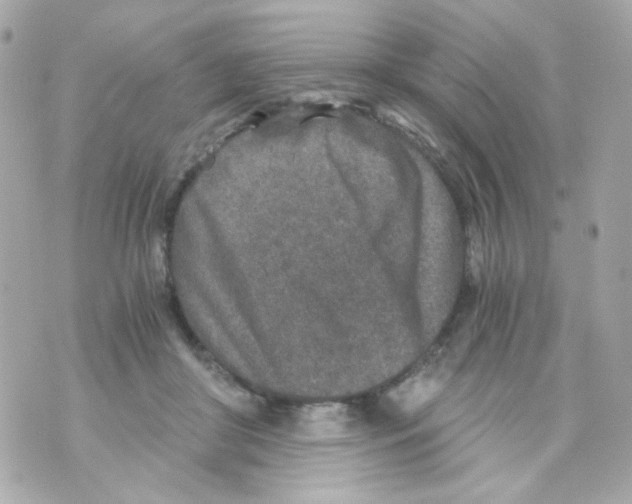 X0000069830410200606161945