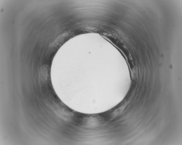 X0000069830412200606161945