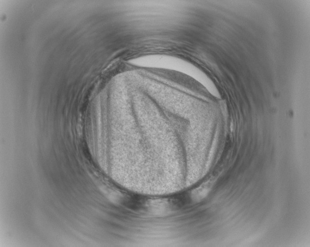 X0000069830413200606161945