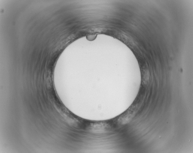 X0000069830414200606161945