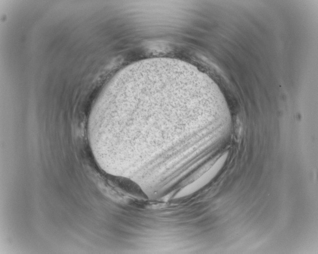 X0000069830417200606161945