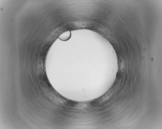 X0000069830418200606161945