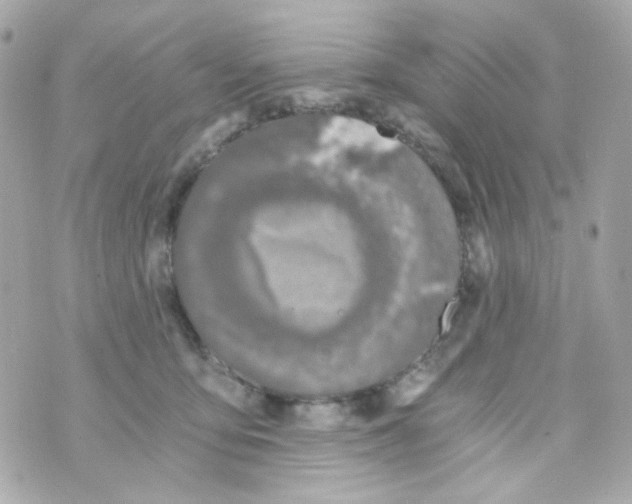 X0000069830419200606161945