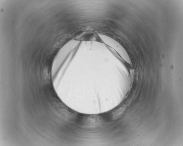 X0000069830420200606161945