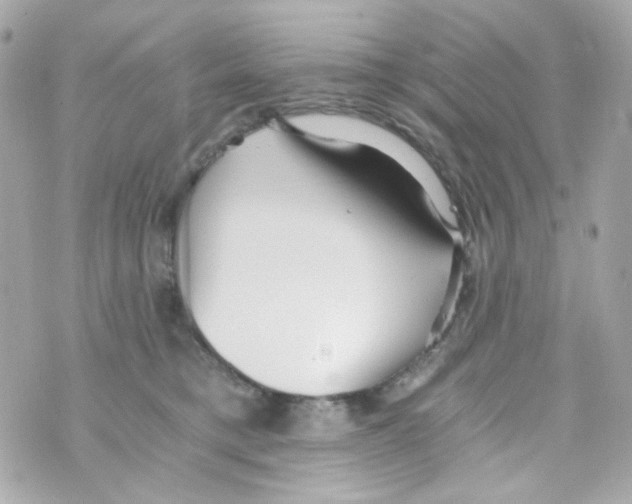 X0000069830421200606161945