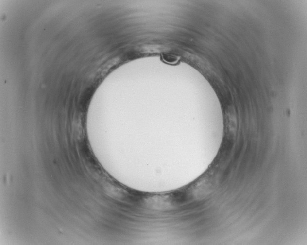 X0000069830422200606161945