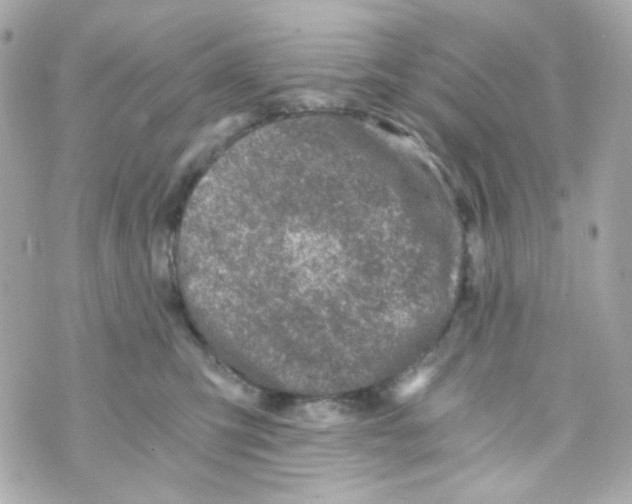 X0000069830423200606161945