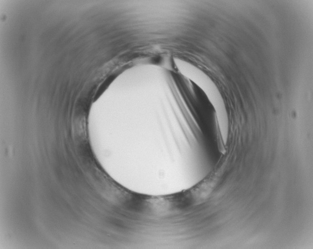 X0000069830425200606161945