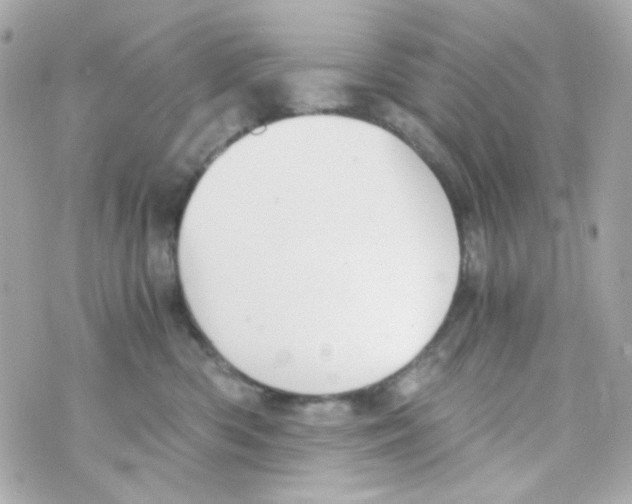 X0000069830426200606161945