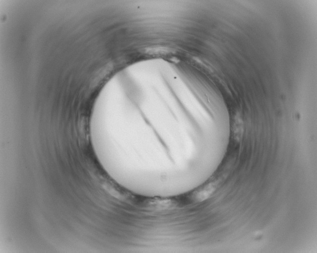 X0000069830428200606161945