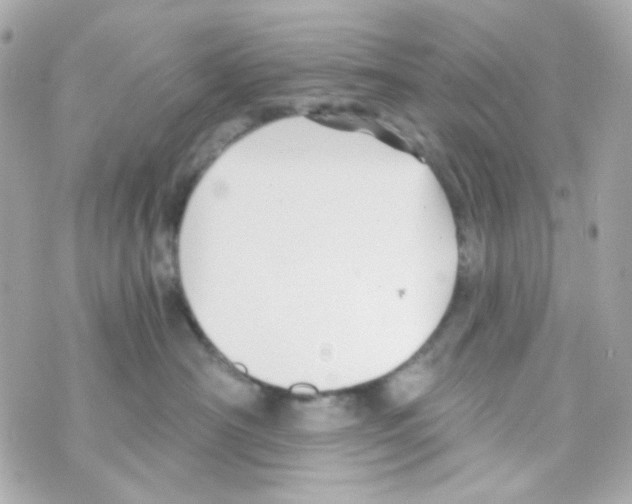 X0000069830430200606161945