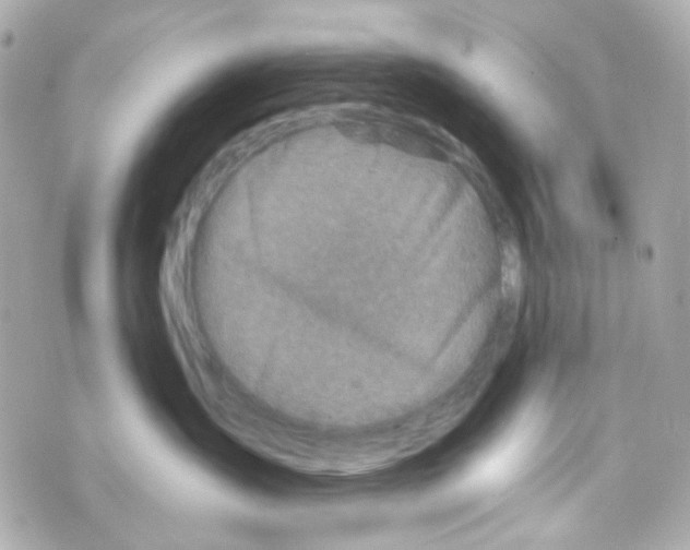 X0000069830431200606161945