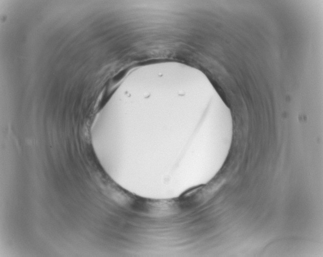 X0000069830432200606161945