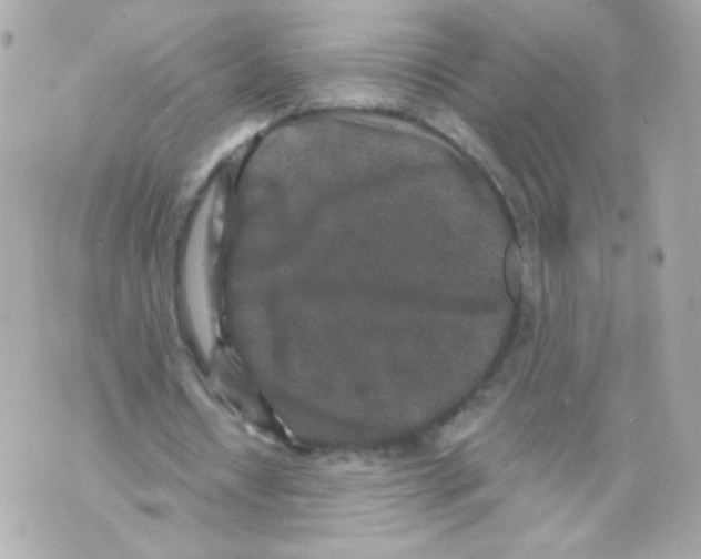 X0000069830434200606161944