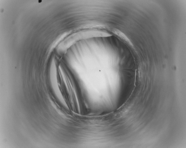 X0000069830436200606161944