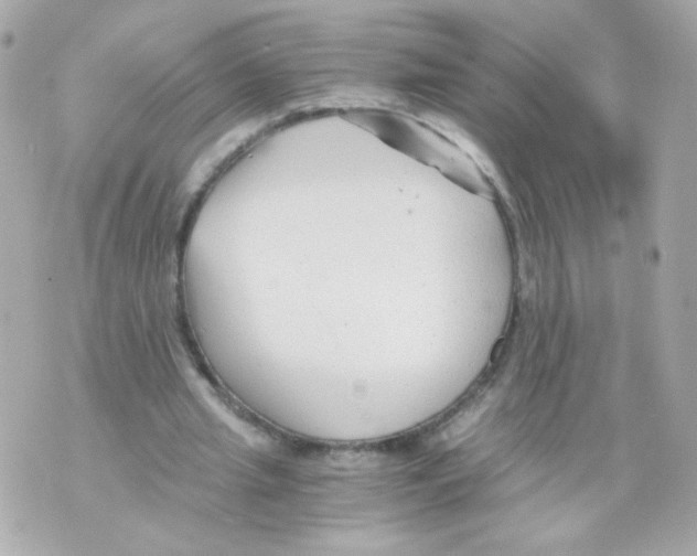 X0000069830437200606161944